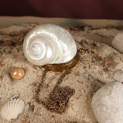 Mini Iridescent White Pearl Turbo Coin Seashell Purse with Gold-Toned Metallic Cap & gold chain strap