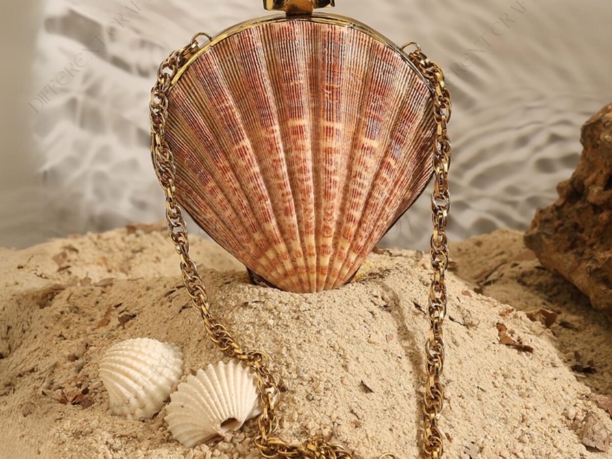Sea Shell Clutch Bag Mini Natural Lion's Paw Scallop Sea Shell
