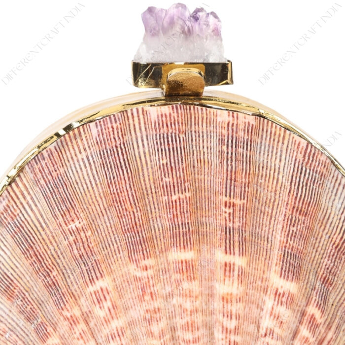 Closeup of Mini Natural Lion's Paw Scallop Seashell Clutch and Amethyst Knob