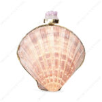 Back view of Mini Natural Lion's Paw Scallop Seashell Clutch with Amethyst Knob and Gold Frame