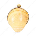 Front view of Mini Yellow Cardinal Cockle Seashell Clutch Bag with Shell-Pearl Knob and Smooth Gold Frame