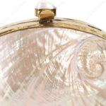 Closeup of Mini Pink Abalone Seashell Purse with Shell-Pearl Knob