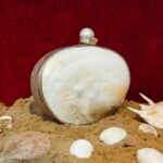 Angle view of Iridescent Clam Seashell Clutch Purse with Silver-Tone Metallic Frame