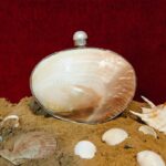 Back view of Iridescent Clam Seashell Clutch Purse with Silver-Tone Metallic Frame