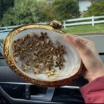 Gold Floral Embellished Inside-Out Natural Iridescent Mother-of-Pearl Clam Shell Hand bag