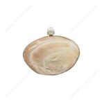 Iridescent Double-Sided Clam Seashell Clutch Purse with Silver-Tone Metallic Frame