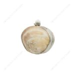 Iridescent Double-Sided Clam Seashell Clutch Purse with Silver-Tone Metallic Frame