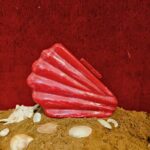 Shell-Inspired Red Fan Shape Resin Clutch Bag with Detachable Chain Strap for Versatility