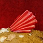 Shell-Inspired Red Fan Shape Resin Clutch Bag with Detachable Chain Strap for Versatility