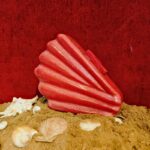 Shell-Inspired Red Fan Shape Resin Clutch Bag with Detachable Chain Strap for Versatility