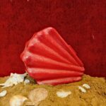 Shell-Inspired Red Fan Shape Resin Clutch Bag with Detachable Chain Strap for Versatility