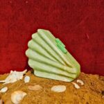 Shell-Inspired Light Green Fan Shape Resin Clutch Bag with Detachable Chain Strap for Versatility