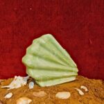 Shell-Inspired Light Green Fan Shape Resin Clutch Bag with Detachable Chain Strap for Versatility