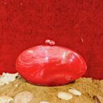 Unique Red Oval Shell-Inspired Resin Clutch Purse with Detachable Chain Strap for Style