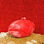 Unique Red Oval Shell-Inspired Resin Clutch Purse with Detachable Chain Strap for Style